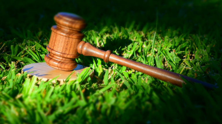 california new sports safety rules